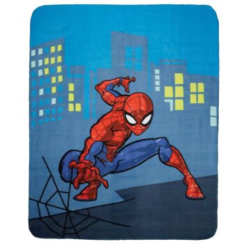Plaid Spiderman Home Hero 1