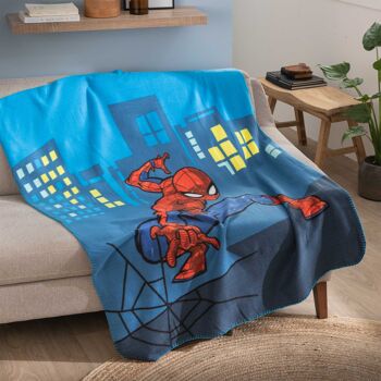 Plaid Spiderman Home Hero 2