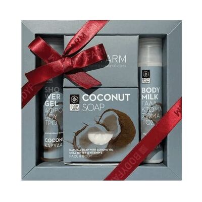 Mini coconut gift set