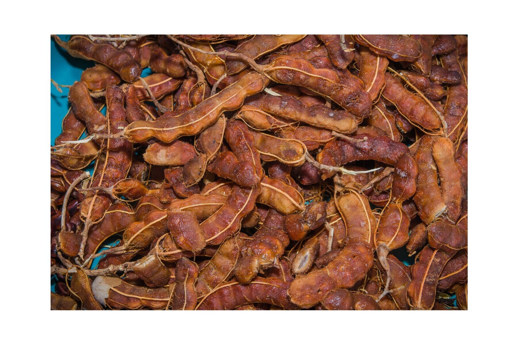 Tamarind (pods) - 500 g