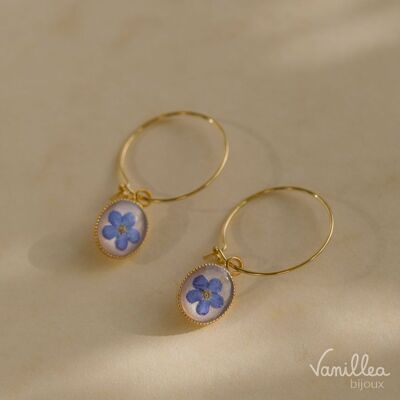 Natural Myosotis flower earrings - Gold stainless steel