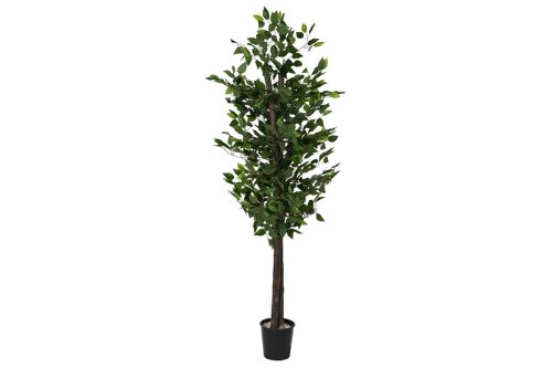 ARBOL MADERA POLIESTER 80X80X180 FICUS VERDE JA211393