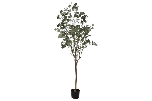 ARBOL PE CEMENTO 80X80X180 EUCALIPTO VERDE JA212493