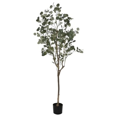 ARBOL PE CEMENTO 80X80X180 EUCALIPTO VERDE JA212493