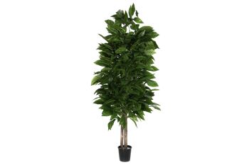 ARBRE BOIS POLYESTER 90X90X180 MANCHE VERT JA211394 1