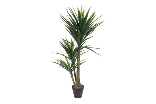 PLANTA EVA PP 80X150 PALMERA JA165007