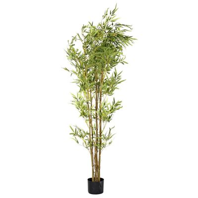 PE PLANT 150X40X40 GREEN BAMBOO JA189335