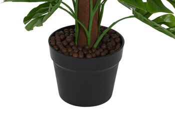 PLANTE PE 30X30X60 MONSTERA VERDE JA212495 3