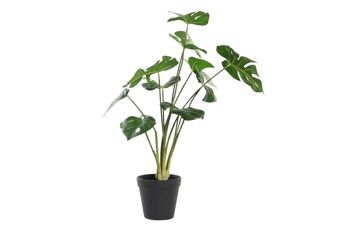 PE PLANTE 30X30X51 VERT JA193852 1