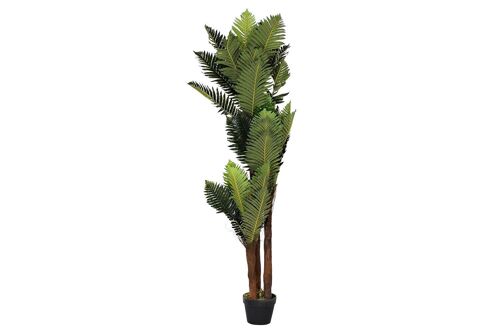 PLANTA PE 40X40X150 PALMERA VERDE JA192391