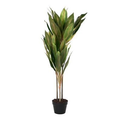 PIANTA PE 50X50X120 VERDE DRACENA JA194213