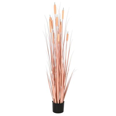 PLANTE PVC PE 45X45X145 ROSEAU CORAIL JA209881