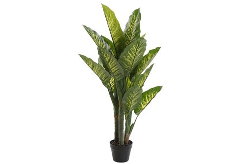 PLANTA PVC 75X72X120 DIEFFENBACHIA VERDE JA172271