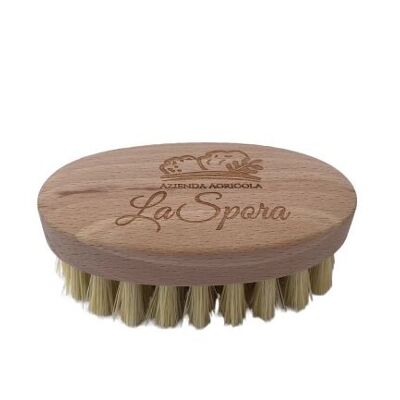 WOODEN BRUSH FOR TRUFFLES