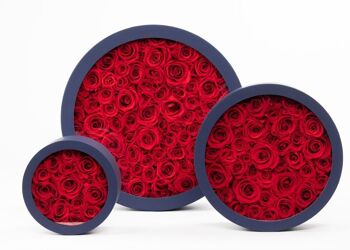 Coffret de roses rouges naturellement préservées - Taille M - Collection Paris - Cadeau et/ou souvenir 4