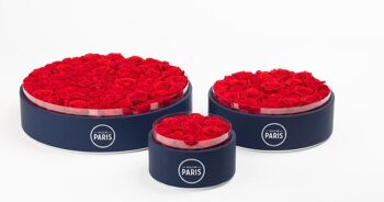 Coffret de roses rouges naturellement préservées - Taille M - Collection Paris - Cadeau et/ou souvenir 5