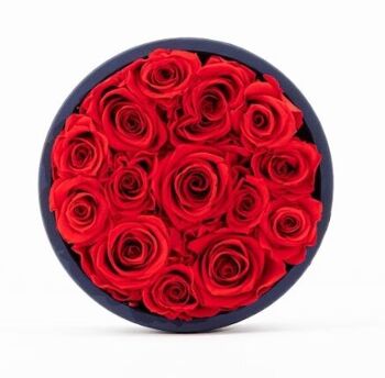 Coffret de roses rouges naturellement préservées - Taille M - Collection Paris - Cadeau et/ou souvenir 6