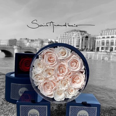 Schachtel mit natürlich konservierten blassrosa Rosen – Größe M – Paris Collection – Geschenk und/oder Souvenir