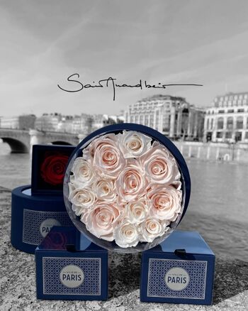 Coffret de roses rose pâle naturellement préservées - Taille M - Collection Paris - Cadeau et/ou souvenir 1