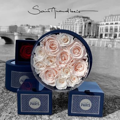 Coffret de roses rose pâle naturellement préservées - Taille M - Collection Paris - Cadeau et/ou souvenir