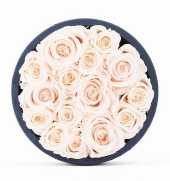 Coffret de roses rose pâle naturellement préservées - Taille M - Collection Paris - Cadeau et/ou souvenir 2