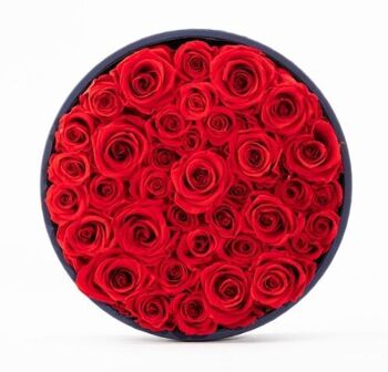 Coffret de roses rouges naturellement préservées - Taille L - Collection Paris - Cadeau et/ou souvenir 2