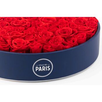 Coffret de roses rouges naturellement préservées - Taille XL - Collection Paris - Cadeau et/ou souvenir 2