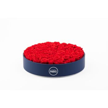 Coffret de roses rouges naturellement préservées - Taille XL - Collection Paris - Cadeau et/ou souvenir 4