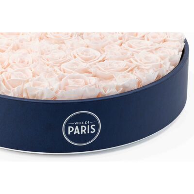Caja de rosas rosa pálido preservadas naturalmente - Tamaño XL - Colección París - Regalo y/o souvenir