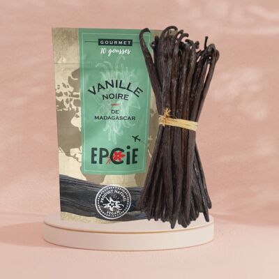 10 Black Vanilla Pods from Madagascar EPCIE®