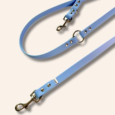 🔥 NEW | Waterproof multi-position leash for dogs - Glacier color