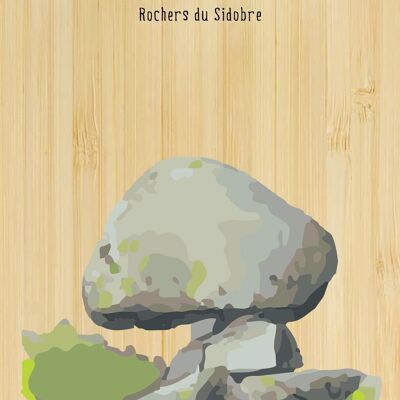 Cartolina di bambù - TK0361 - Regioni della Francia > Midi-Pirenei, Regioni della Francia, Regioni della Francia > Midi-Pirenei > Tarn