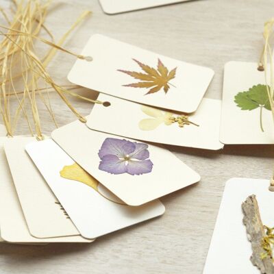 Piccole carte con piante (set da 5) • veri e propri erbari
