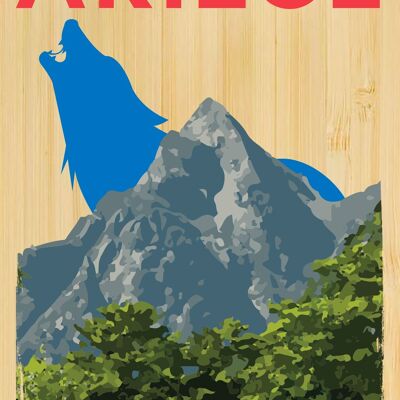 Cartolina di bambù - TK0538 - Regioni della Francia > Midi-Pirenei > Ariège, Regioni della Francia > Midi-Pirenei, Regioni della Francia