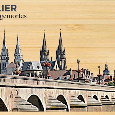 Bambuspostkarte - DC0664 - Regionen Frankreichs > Auvergne > Allier, Regionen Frankreichs > Auvergne, Regionen Frankreichs