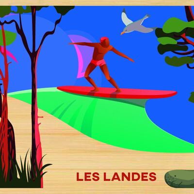 Cartolina bambù - CM0052 - Regioni della Francia > Aquitania, Regioni della Francia > Aquitania > Landes, Regioni della Francia
