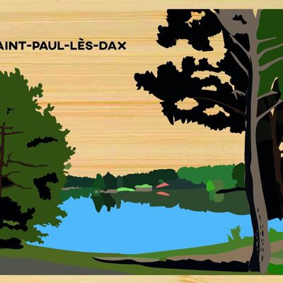 Bamboo postcard - CM0241 - Regions of France > Aquitaine, Regions of France > Aquitaine > Landes, Regions of France