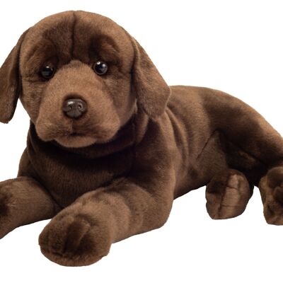 Labrador marrone cioccolato 50 cm - peluche - animale di pezza