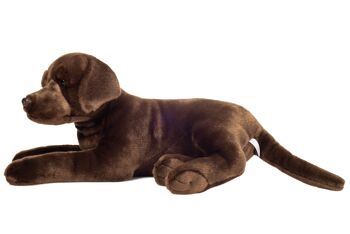 Labrador marron chocolat 50 cm - peluche - peluche 2