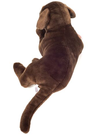 Labrador marron chocolat 50 cm - peluche - peluche 3