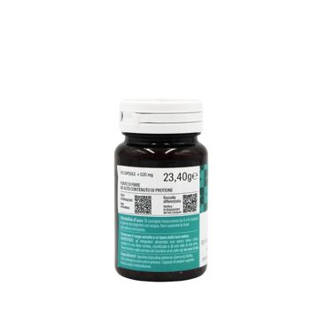 Spirucap 45cps - Spirulina Bio Capsule 2