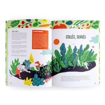 Livre Je jardine en permaculture avec 12 sachets de graines - Plume de carotte 5