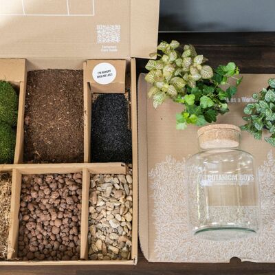 Slim Cork jar terrarium kit