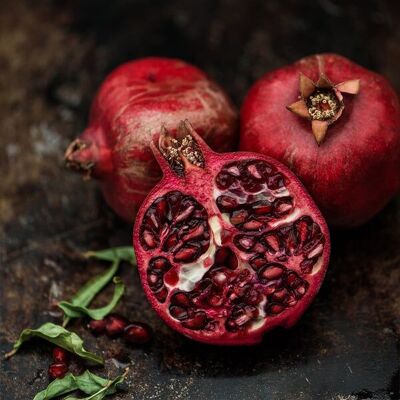 Square Cloth - Pomegranate on Black