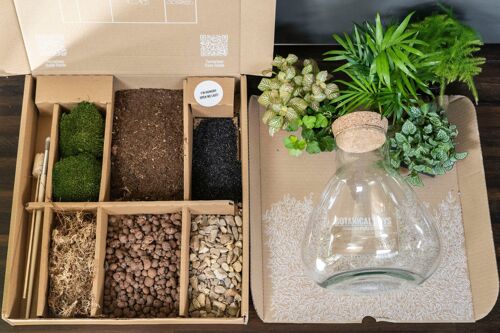 LAB Jar terrarium kit