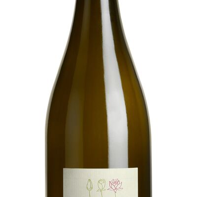 Sauvignon IGP Val de Loire