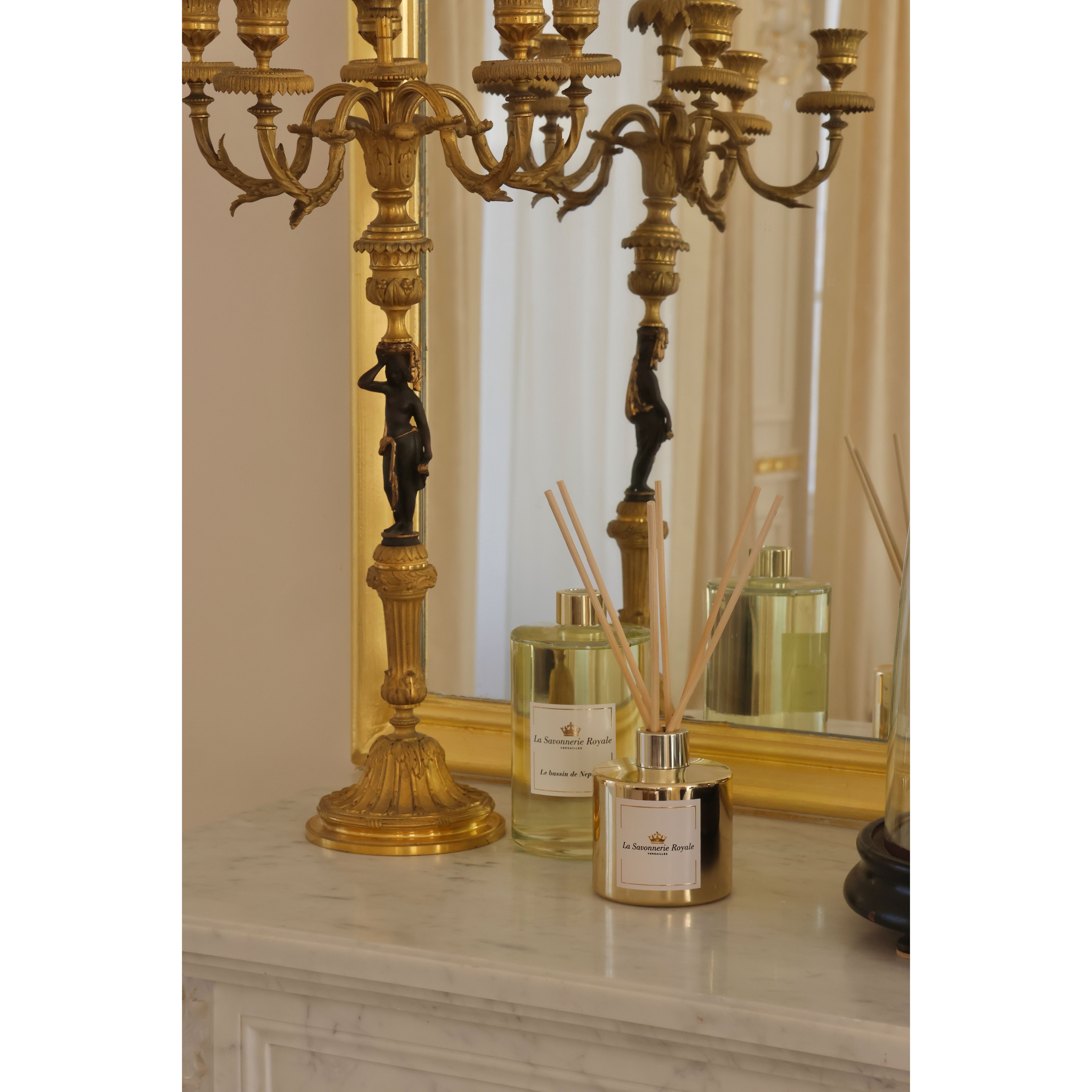 Nachfülldiffusor The Pool of Neptune 500 ml