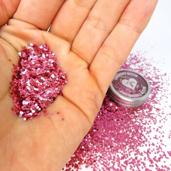 Rose Rose Eco Paillettes - Chunky 2