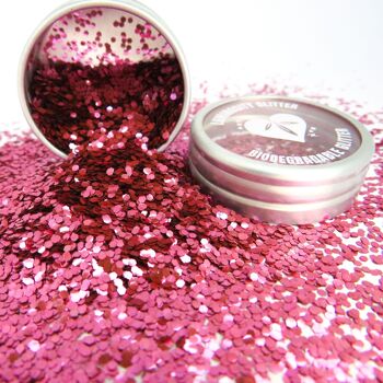Rose Rose Eco Paillettes - Chunky 4
