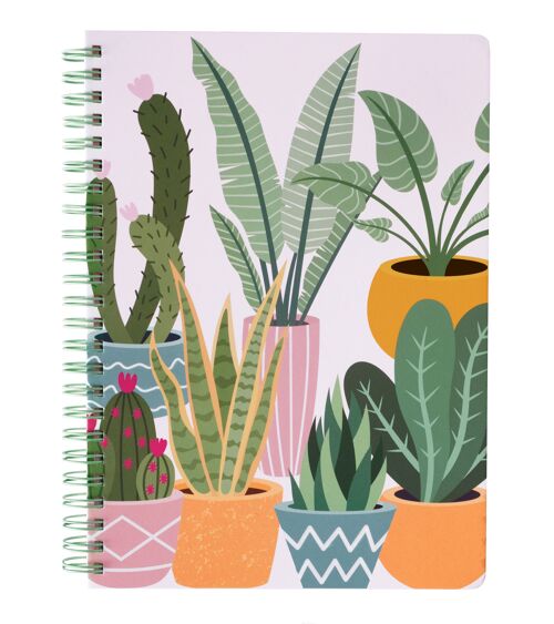 Mini Notebook, Succulents